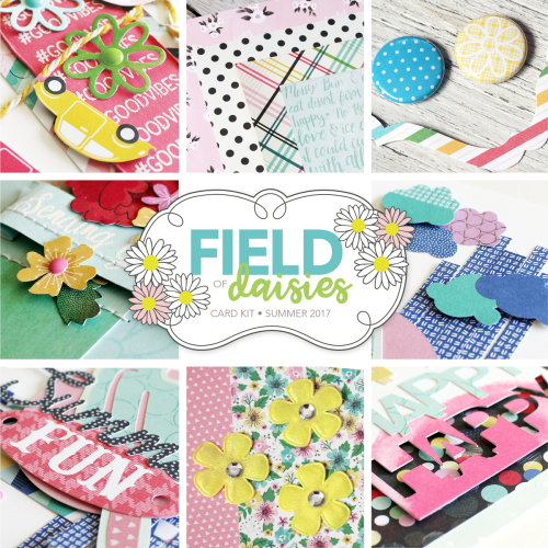 Field of Daisies Card Kit Giveaway