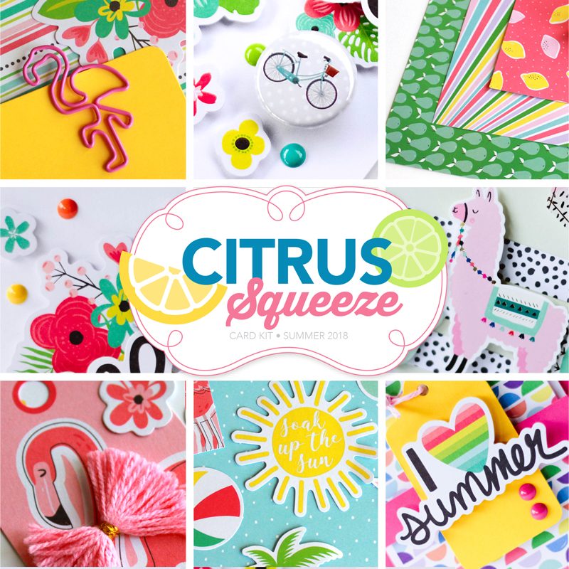 Citrus Squeeze Card Kit