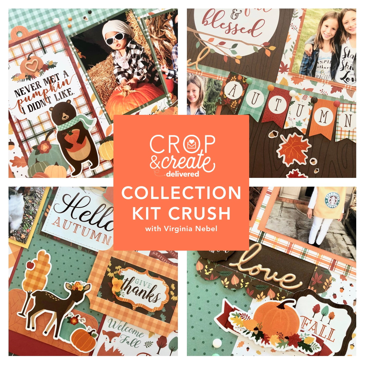 Collection Kit Crush with Virginia Nebel