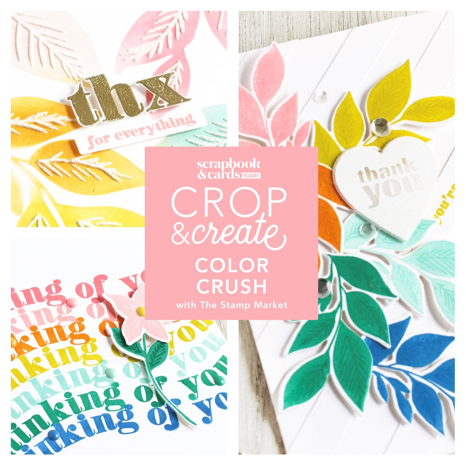 Colour Crush with The Stamp Market