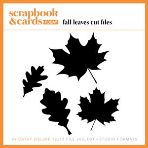 SCT Fall 2015 Leaves