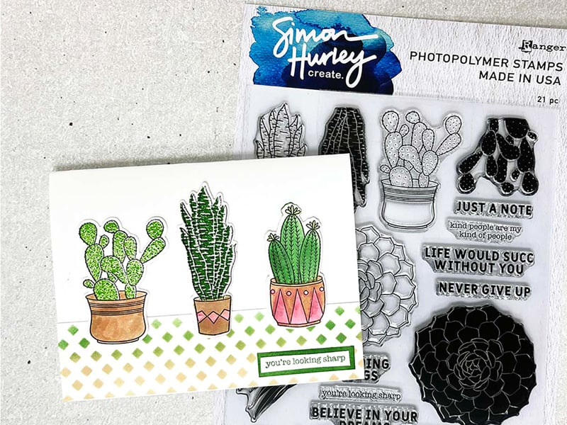 Cactus and Succulent Rubber Stamps Small BUJO Stamps Plant Stamps for  Planners 