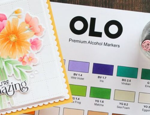 New & Noteworthy: 32 New Colors from OLO + Giveaway!